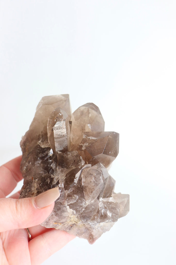 XXL SMOKY QUARTZ CLUSTER / / WITH GOLDEN RUTILE INCLUSIONS #1